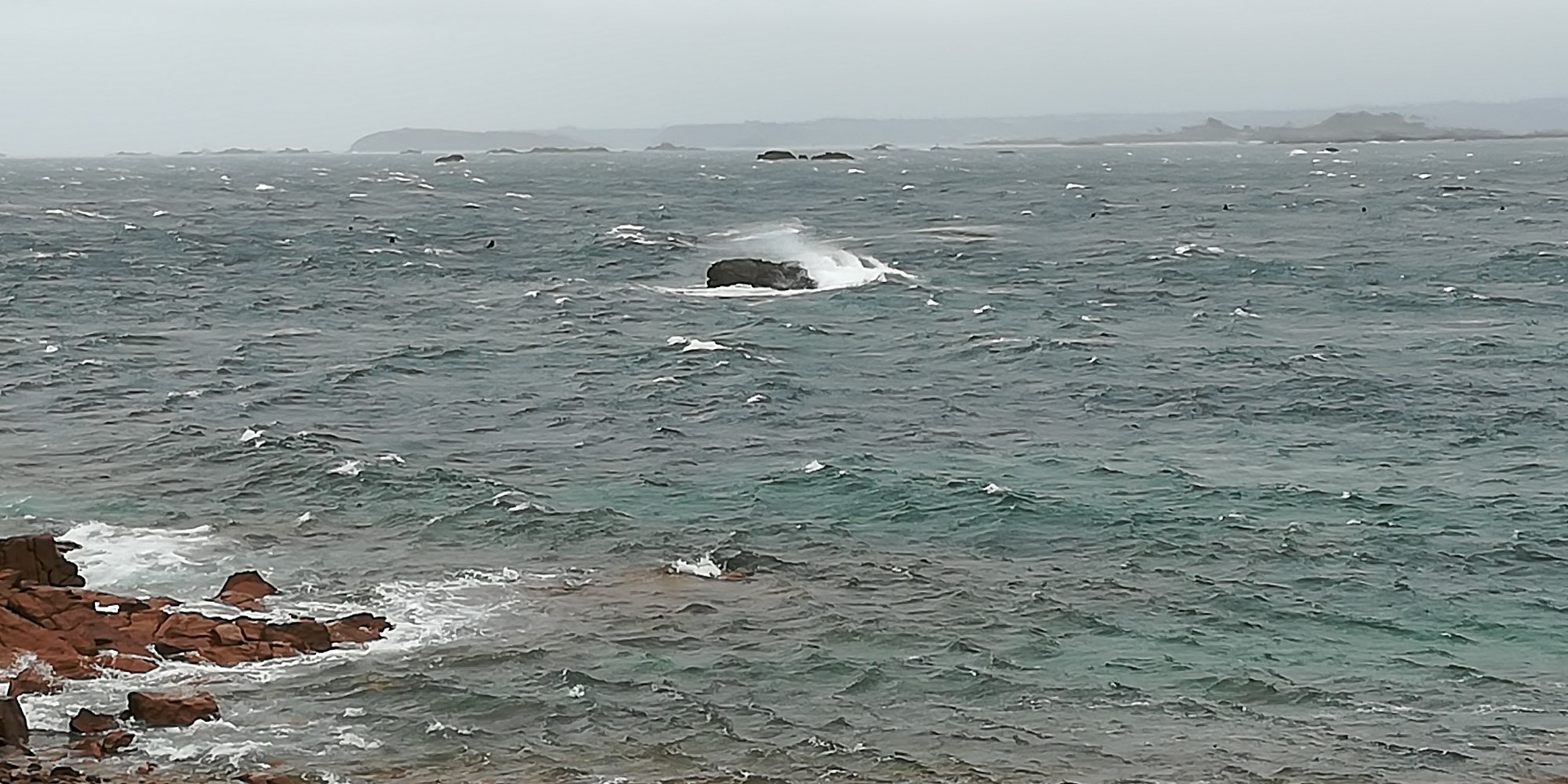 🏝 Avec le vent va, tout s&rsquo;en va. #06 – Des mots de minuit – Magazine culturel